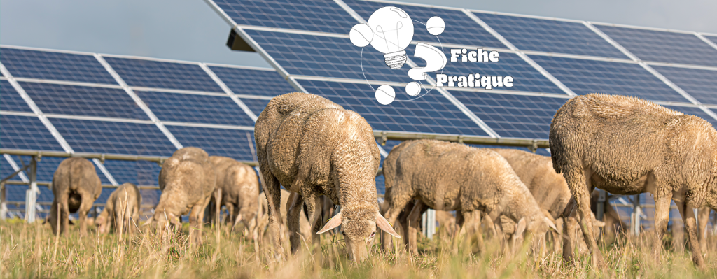 Les centrales photovoltaïques permettent de produire de l’énergie renouvelable, il est donc essentiel que les panneaux solaires soient recyclables afin de minimiser leur impact environnemental.