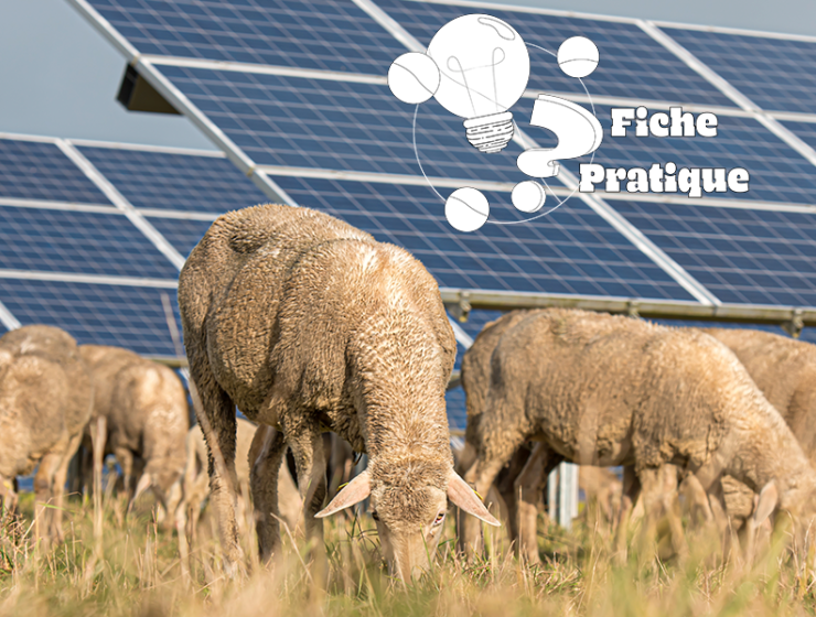 Les centrales photovoltaïques permettent de produire de l’énergie renouvelable, il est donc essentiel que les panneaux solaires soient recyclables afin de minimiser leur impact environnemental.