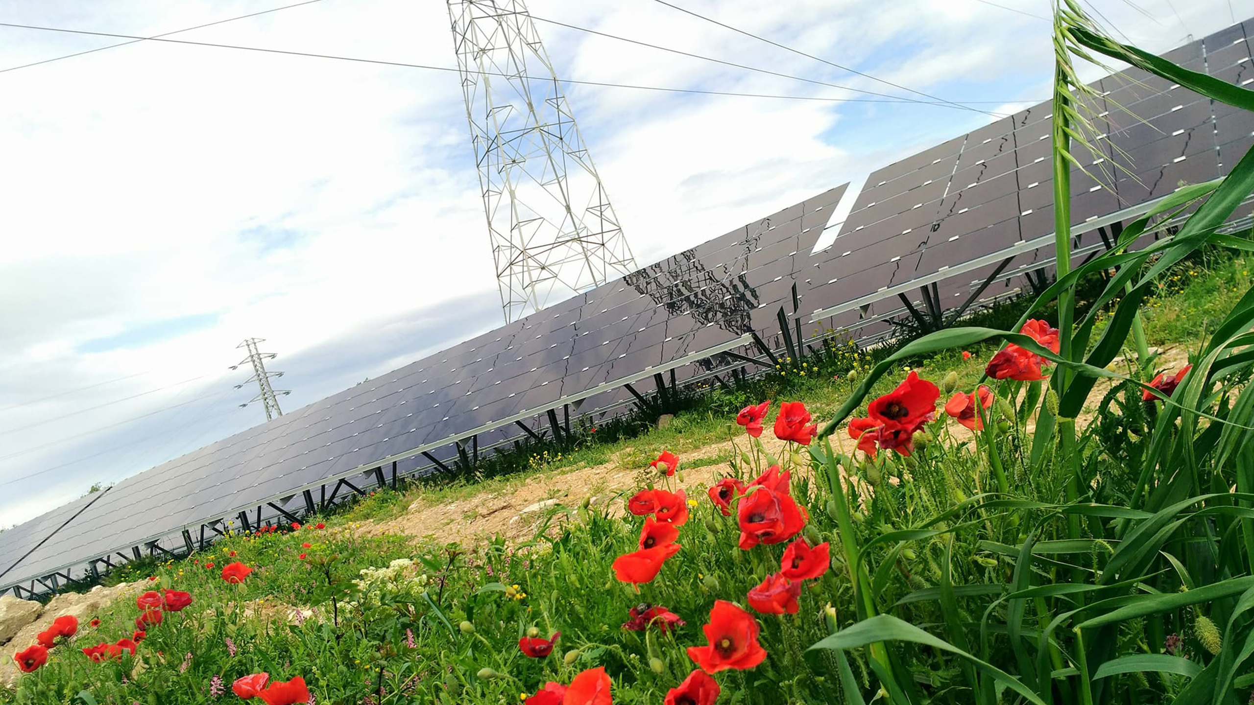 Centrale photovoltaïque au sol Narbonne - Générale du Solaire
