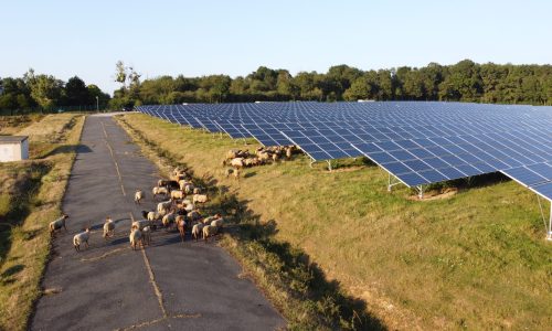 Centrale photovoltaïque au sol Sourdun - Générale du Solaire Centrale photovoltaïque au sol Sourdun - Générale du Solaire