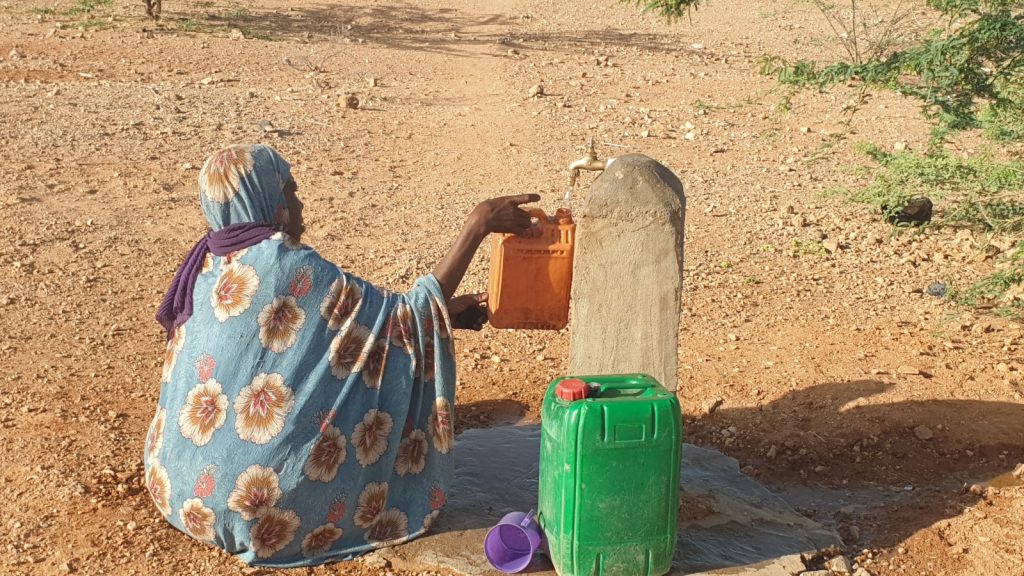 Générale du Solaire soutient la réalisation d'un puits solaire à Gofat Agharouss au Niger